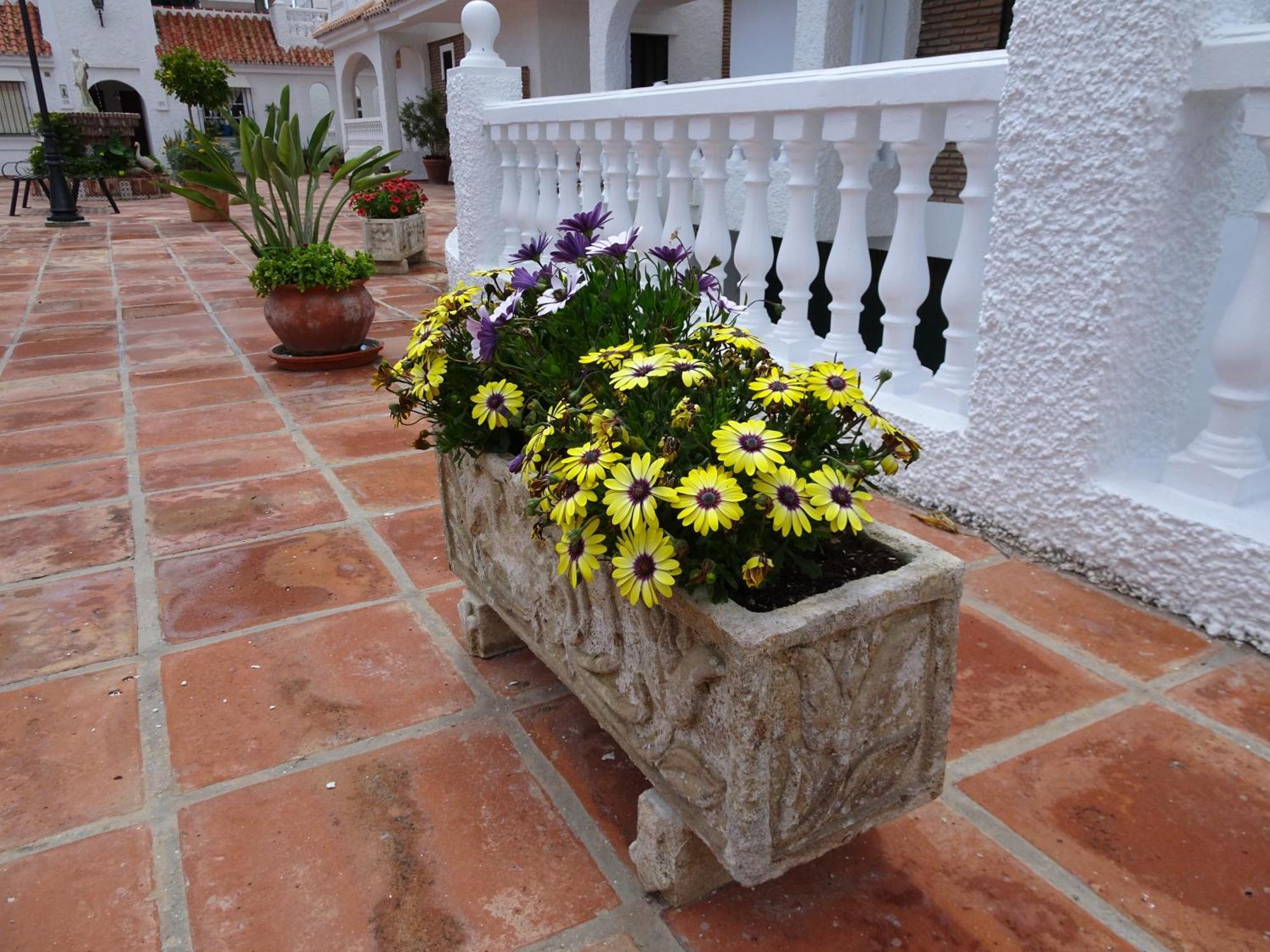Apartamento agradable con gran solarium en Mezquitilla Algarrobo Costa Exterior foto